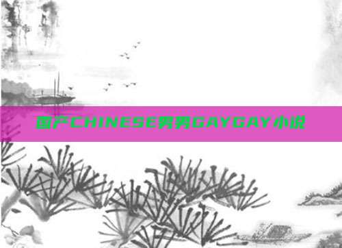 国产CHINESE男男GAYGAY小说